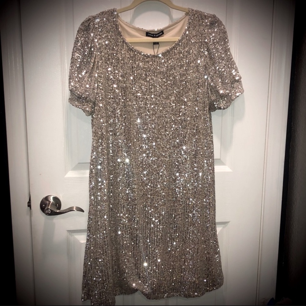 NWT silver sequin party dress